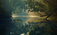 Budisme Zen
